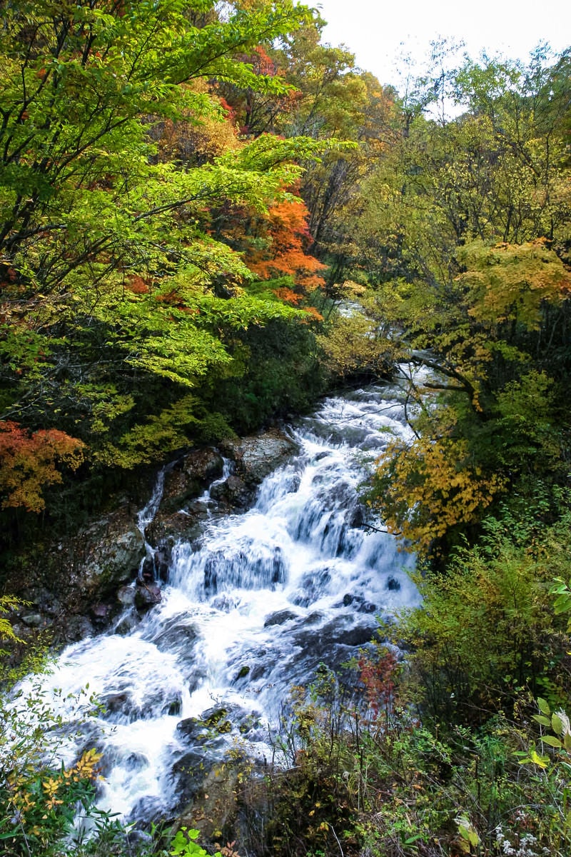 「黄葉間近の魚止めの滝」の写真
