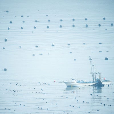 志津川湾で漁に出る漁船の写真