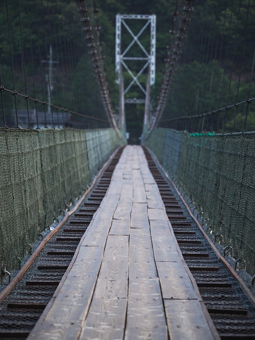 早朝の谷瀬の吊り橋の写真