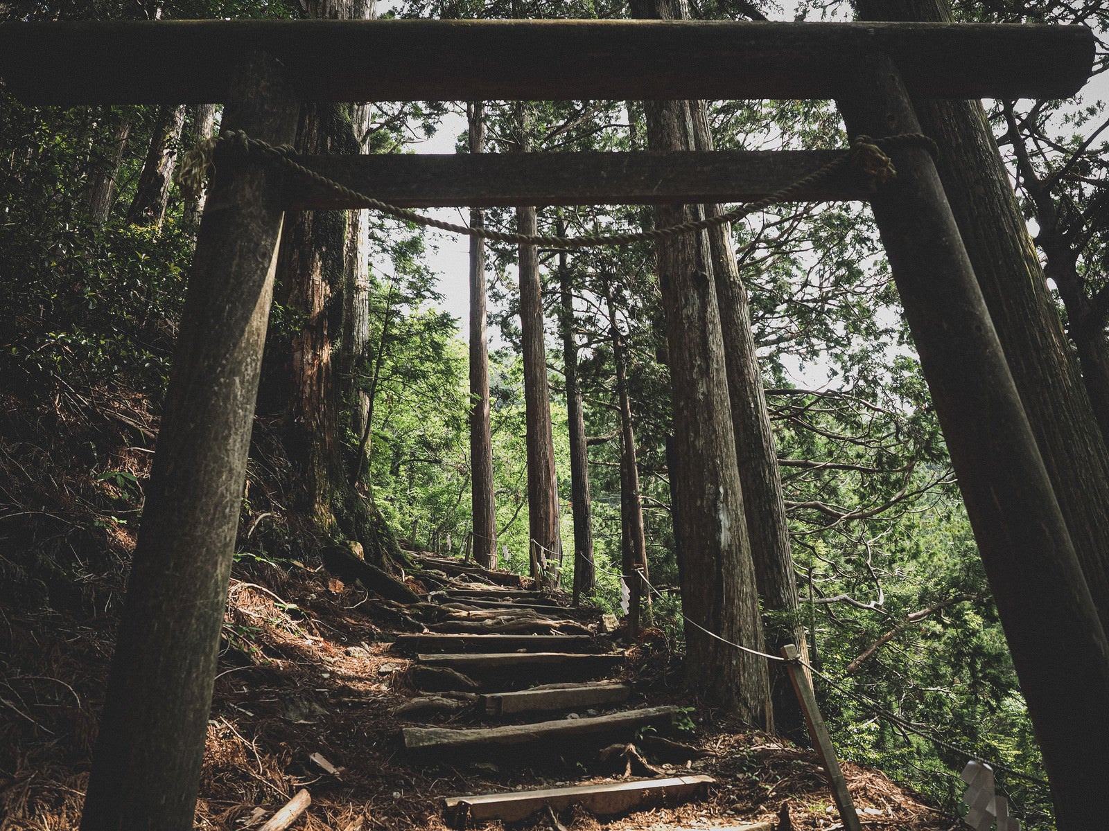 「玉置神社へと続く鳥居と階段」の写真