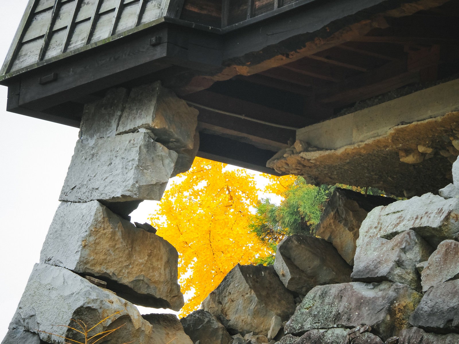 「石垣がギリギリ残る熊本城」の写真