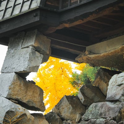 石垣がギリギリ残る熊本城の写真
