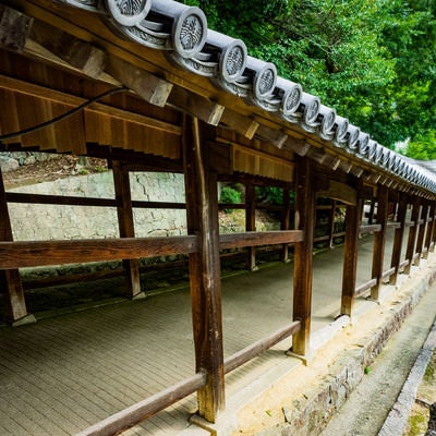 吉備津神社にある傾斜の続く長い回廊の写真