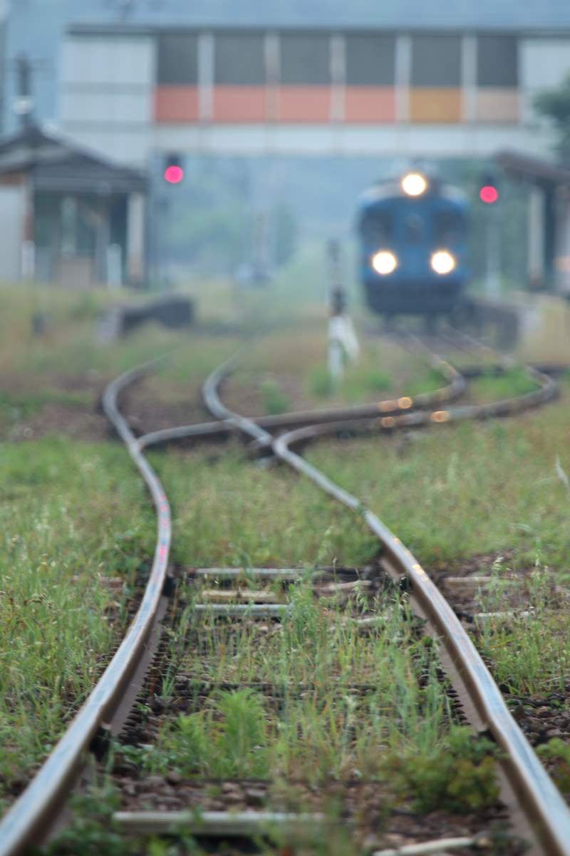 「旅情感漂うローカル列車」の写真