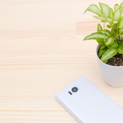 植物と携帯電話の写真