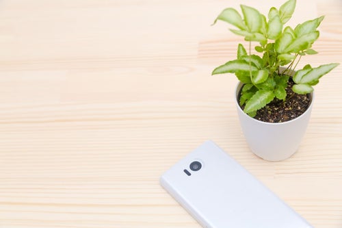 植物と携帯電話の写真