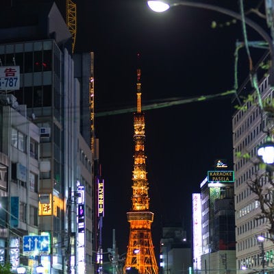 六本木からの東京タワー（夜間）の写真