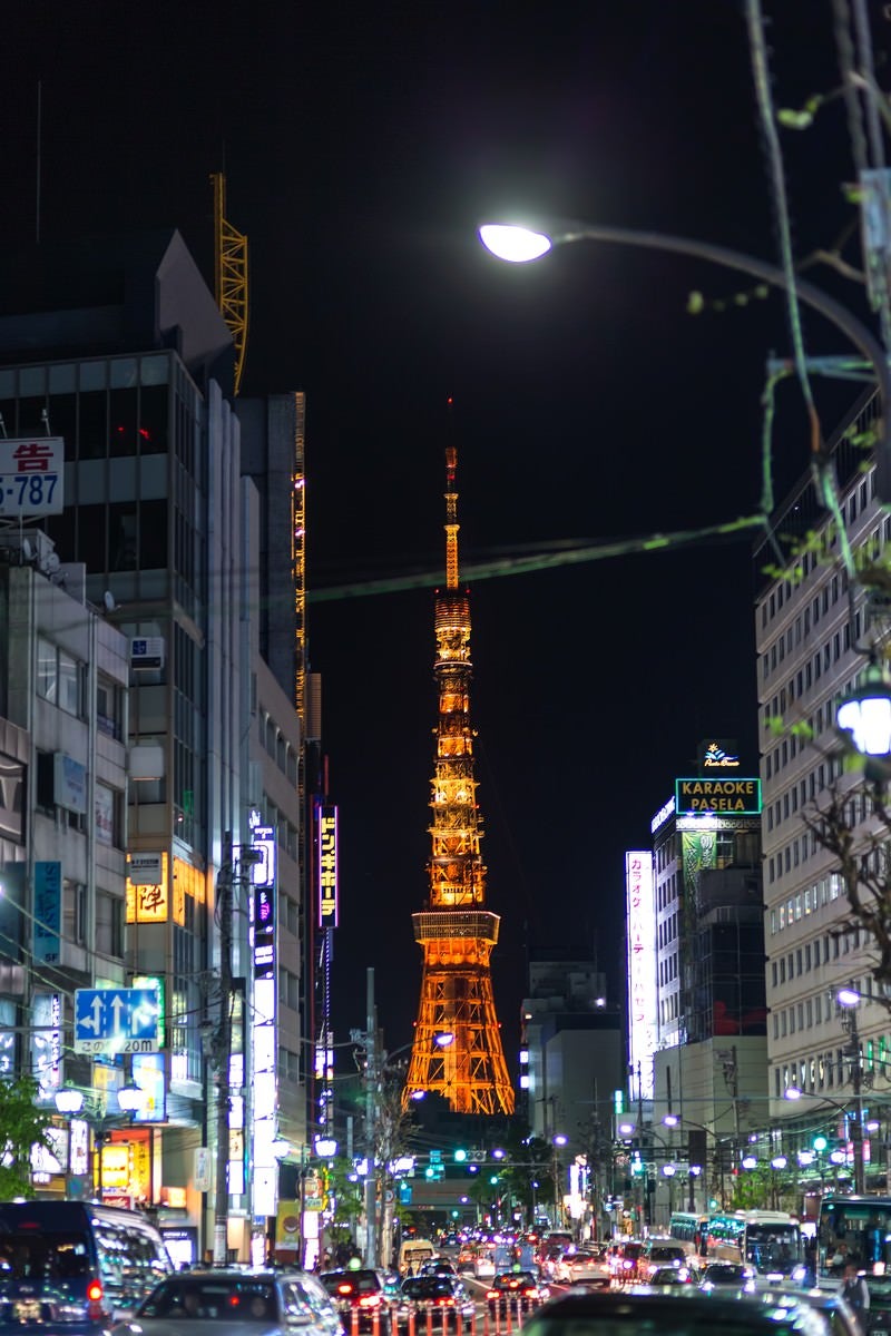 「六本木からの東京タワー（夜間）」の写真