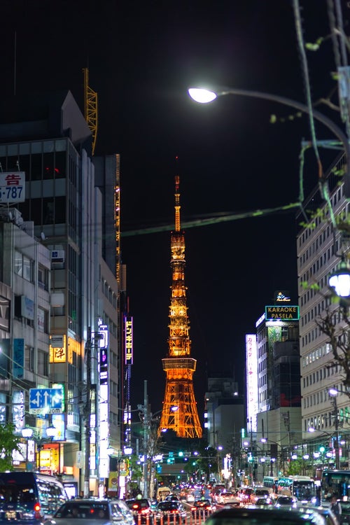 六本木からの東京タワー（夜間）の写真
