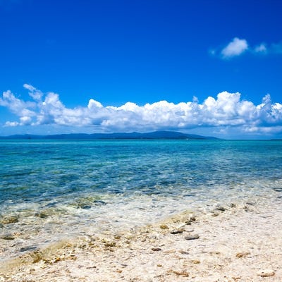 南国の透き通る海と白い砂浜、青空の島リゾート風景の写真