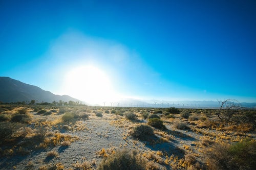 カリフォルニア・パームスプリングスの太陽の写真