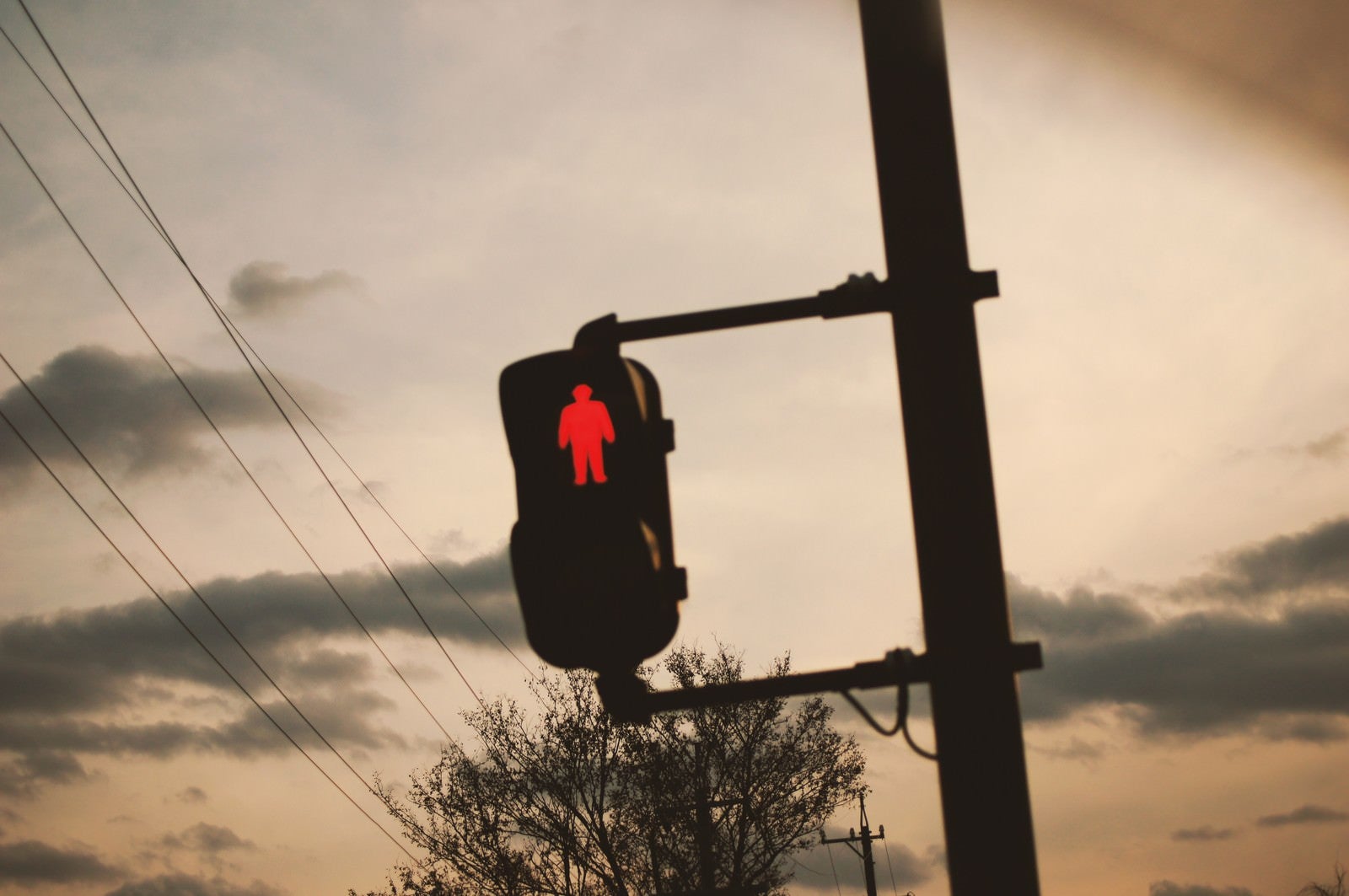「夕暮れと赤信号」の写真