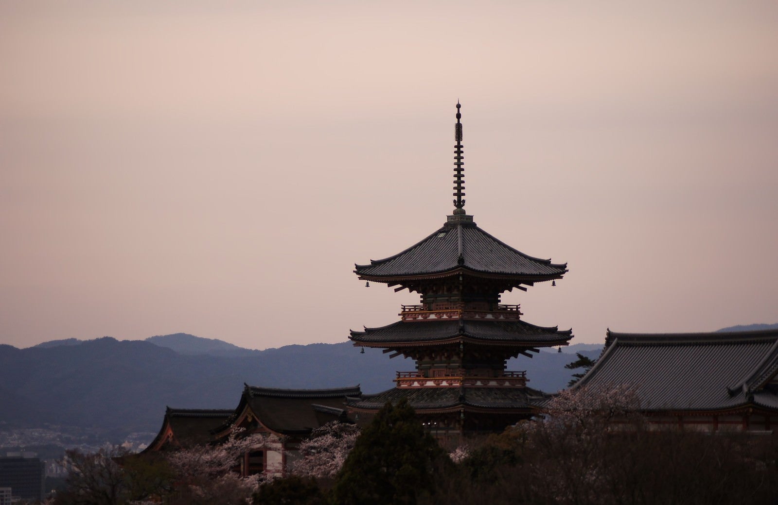 「京の街を眺める」の写真