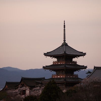 京の街を眺めるの写真