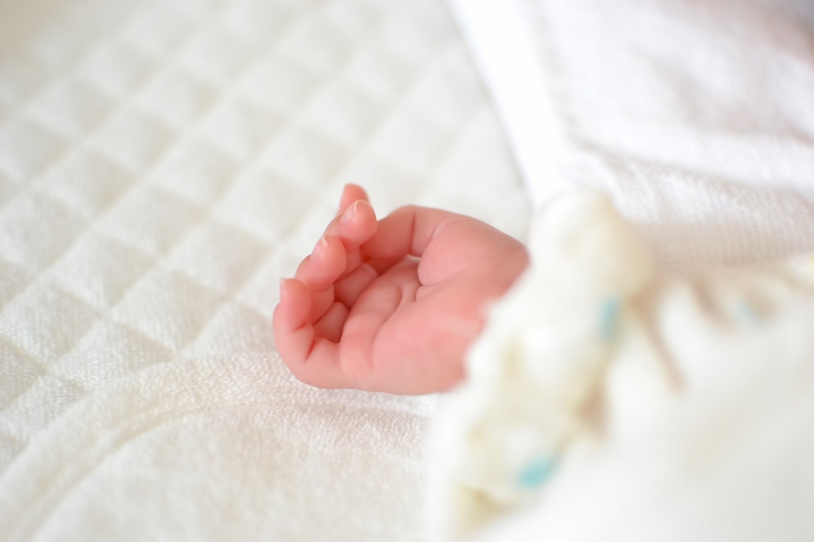 「赤ちゃんの手」の写真