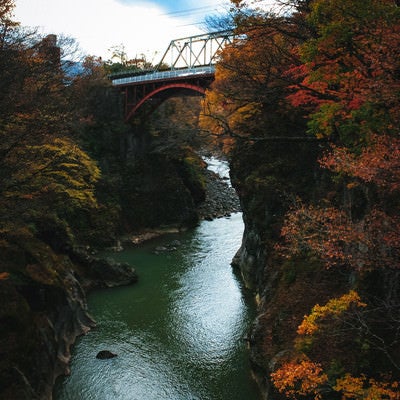 吾妻渓谷の紅葉と鉄橋の写真