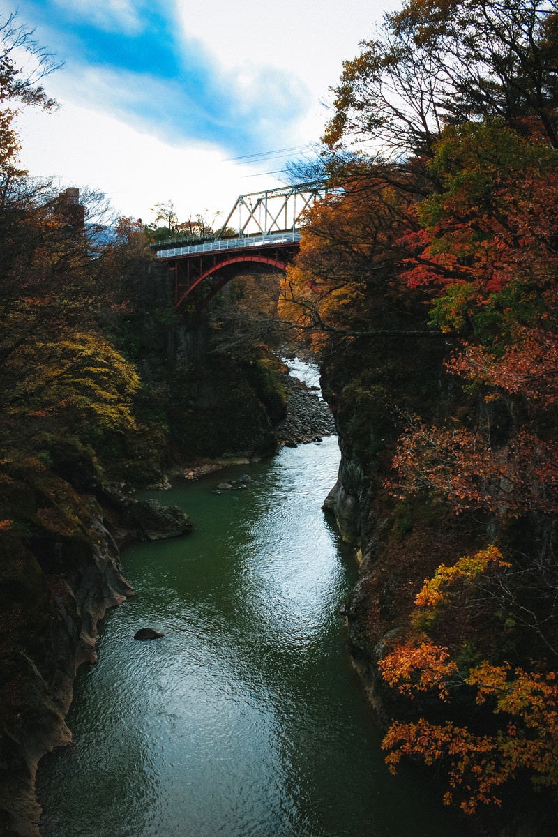 「吾妻渓谷の紅葉と鉄橋」の写真