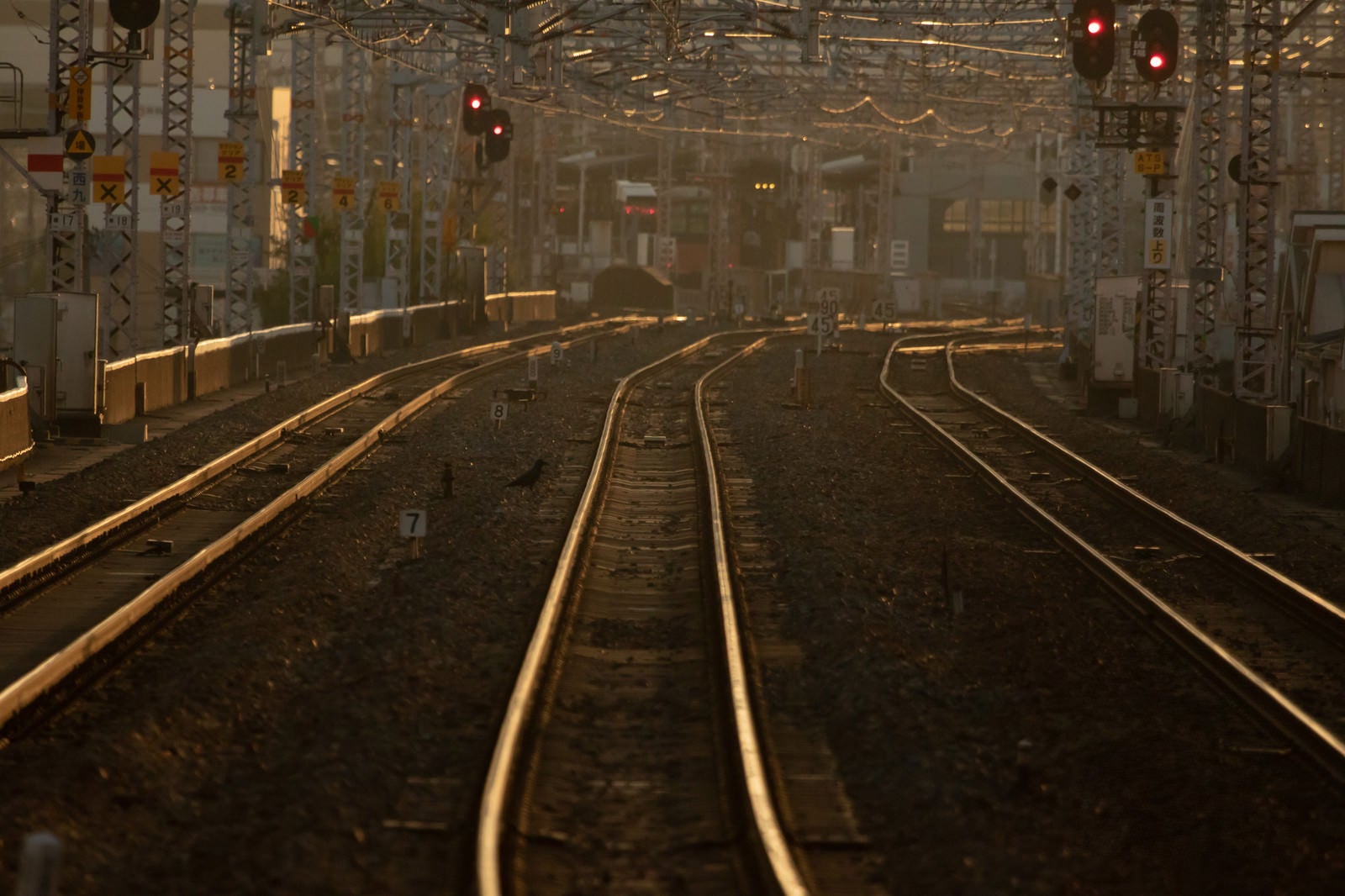 「西九条駅方面を望む（夕刻）」の写真