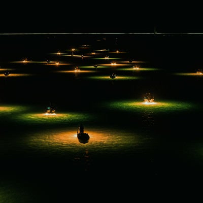 吉野川シラスウナギ漁（夜間）の写真
