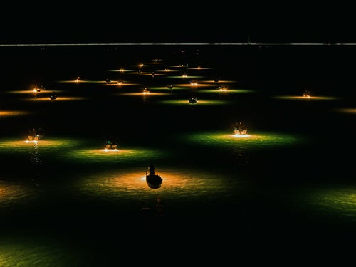 吉野川シラスウナギ漁（夜間）の写真