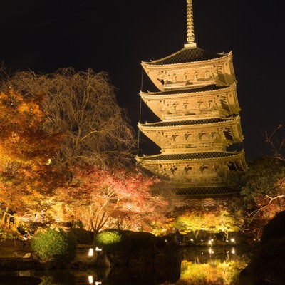 夜の暗さをまとった空を背景に建つ東寺の五重塔とその姿を映しこむ瓢箪池の写真