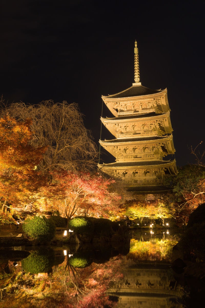 「夜の暗さをまとった空を背景に建つ東寺の五重塔とその姿を映しこむ瓢箪池」の写真