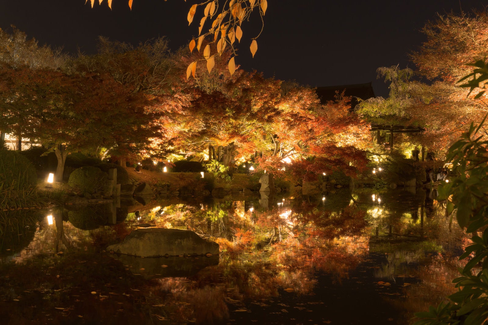 「ライトアップされて輝く紅葉した木々とそれを映す静かな池」の写真