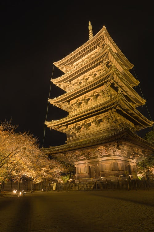 近くから見上げるライトアップされた東寺の国宝五重塔の写真
