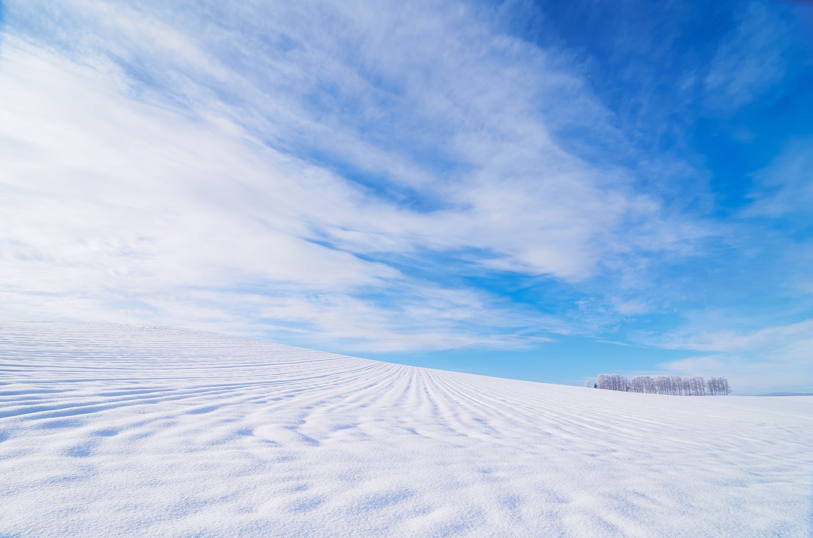 「北海道の広大な雪原」の写真