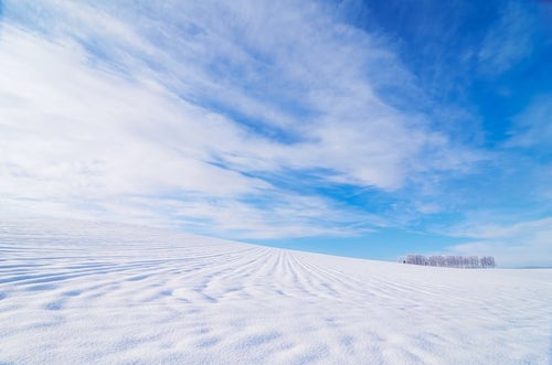 北海道の広大な雪原の写真