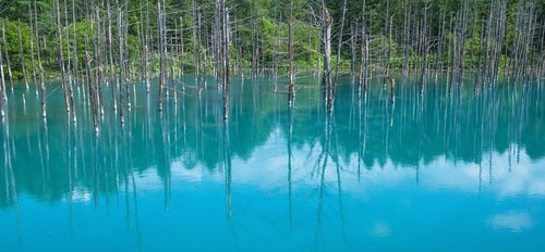 青い池の写真