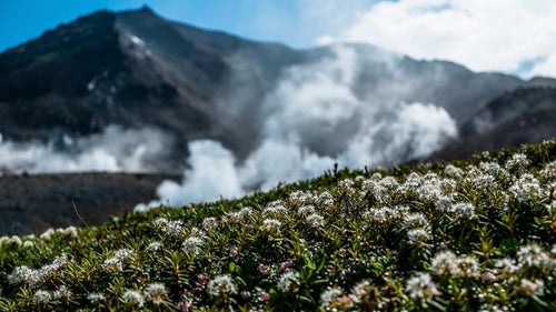 旭岳の水蒸気の写真