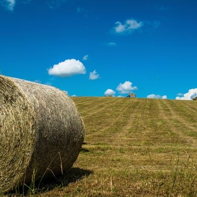 牧草ロールと青空の写真