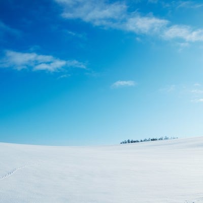 雪原と足跡の写真
