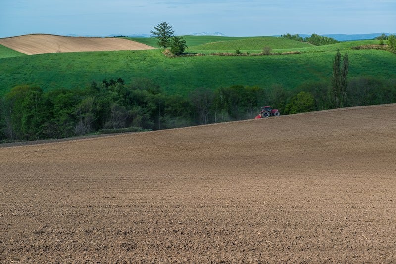 緑と美瑛の丘、耕す農家の写真
