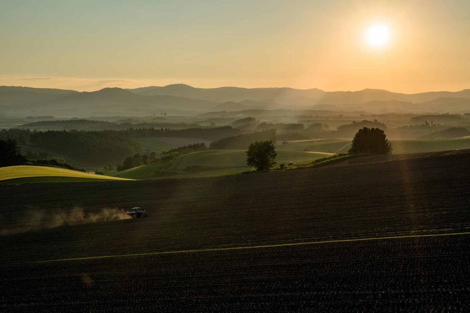 「朝の靄がかかる美瑛の農場とトラクター」の写真