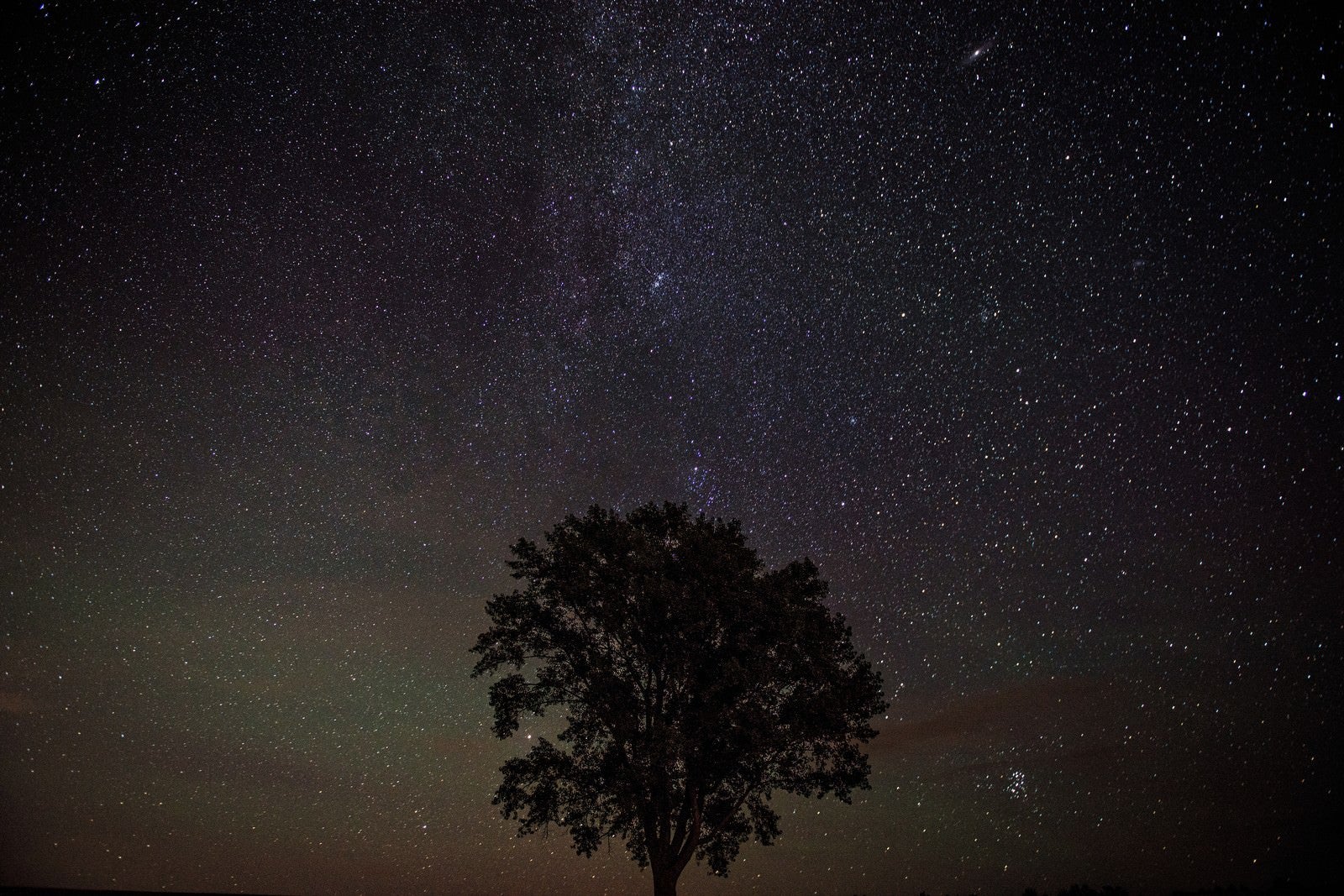 「美瑛の木と星空」の写真