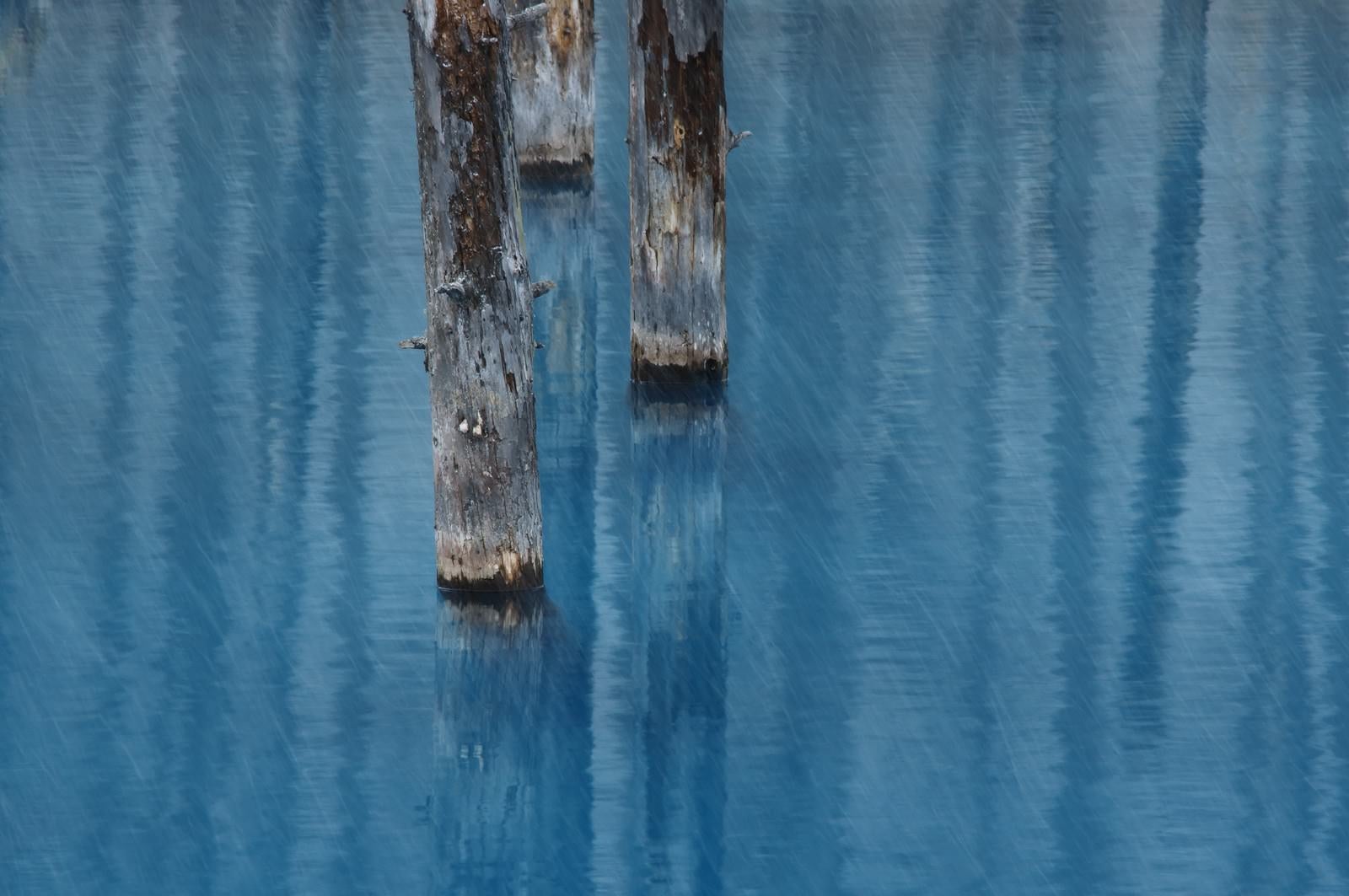 「雨が降る美瑛町白金の青い池」の写真