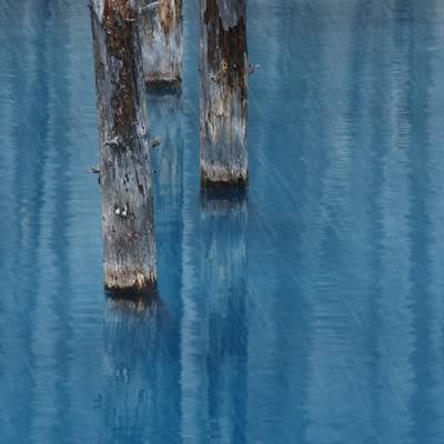 雨が降る美瑛町白金の青い池の写真