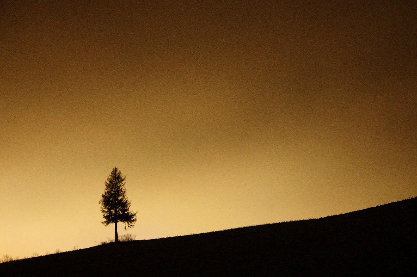 「夕暮れのグラデーションと美瑛の丘」の写真