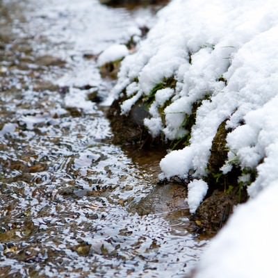 雪解けの小川の写真