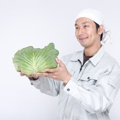 愛情込めて生産した有機野菜を渡す農家の男性の写真