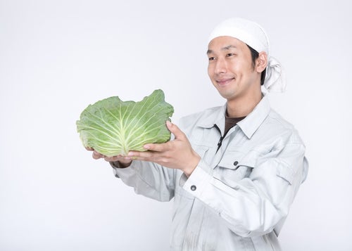 愛情込めて生産した有機野菜を渡す農家の男性の写真