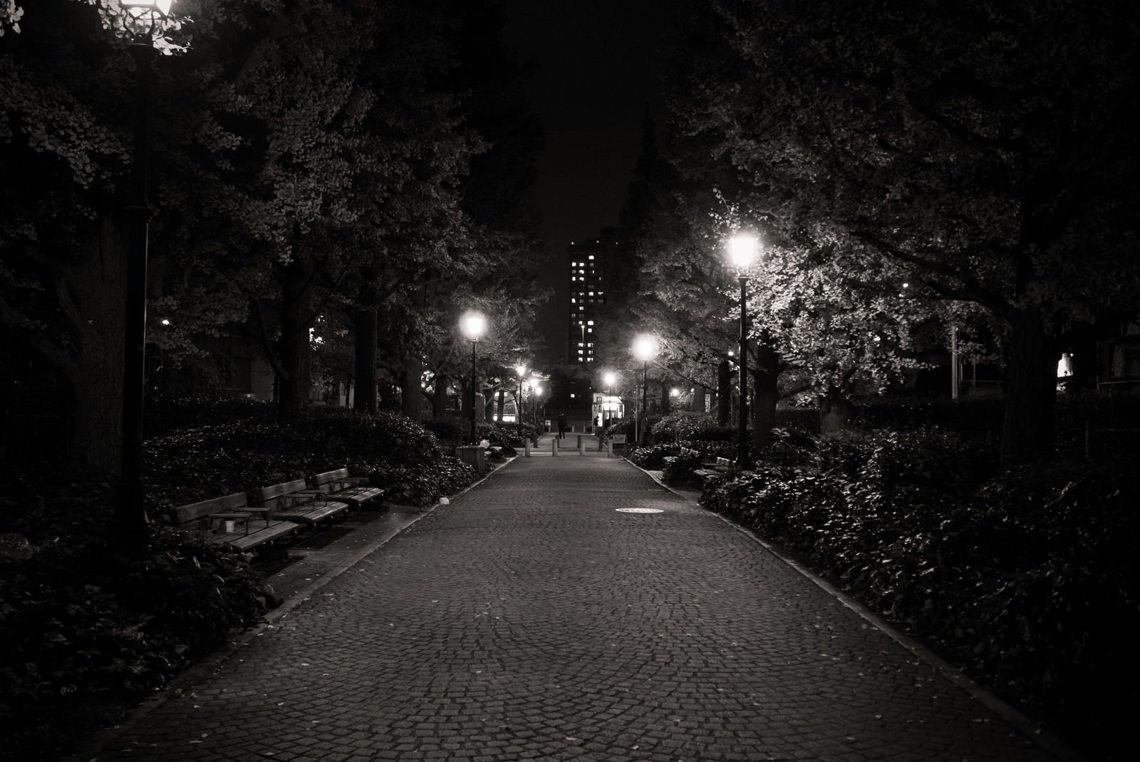 「街灯のあかりと歩道」の写真