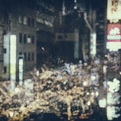 ライトアップされた繁華街（フィルム）の写真