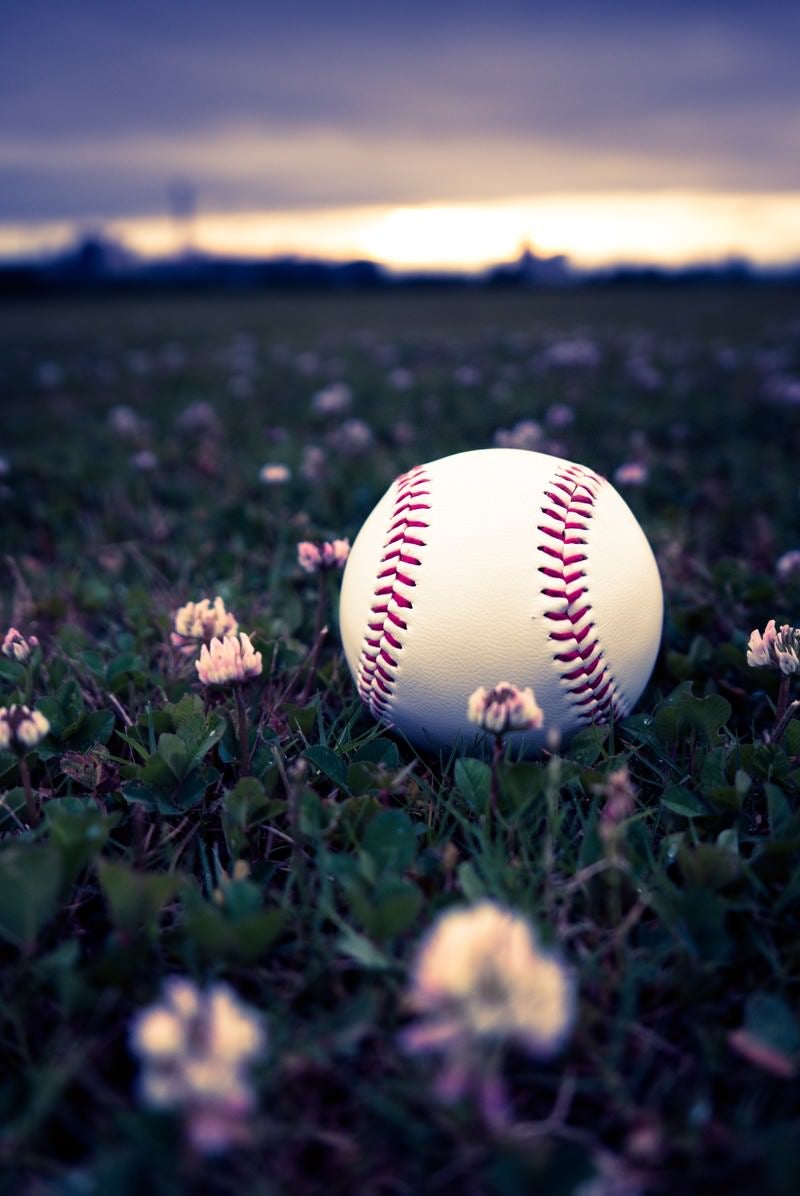 「河川敷に転がる野球のボール」の写真