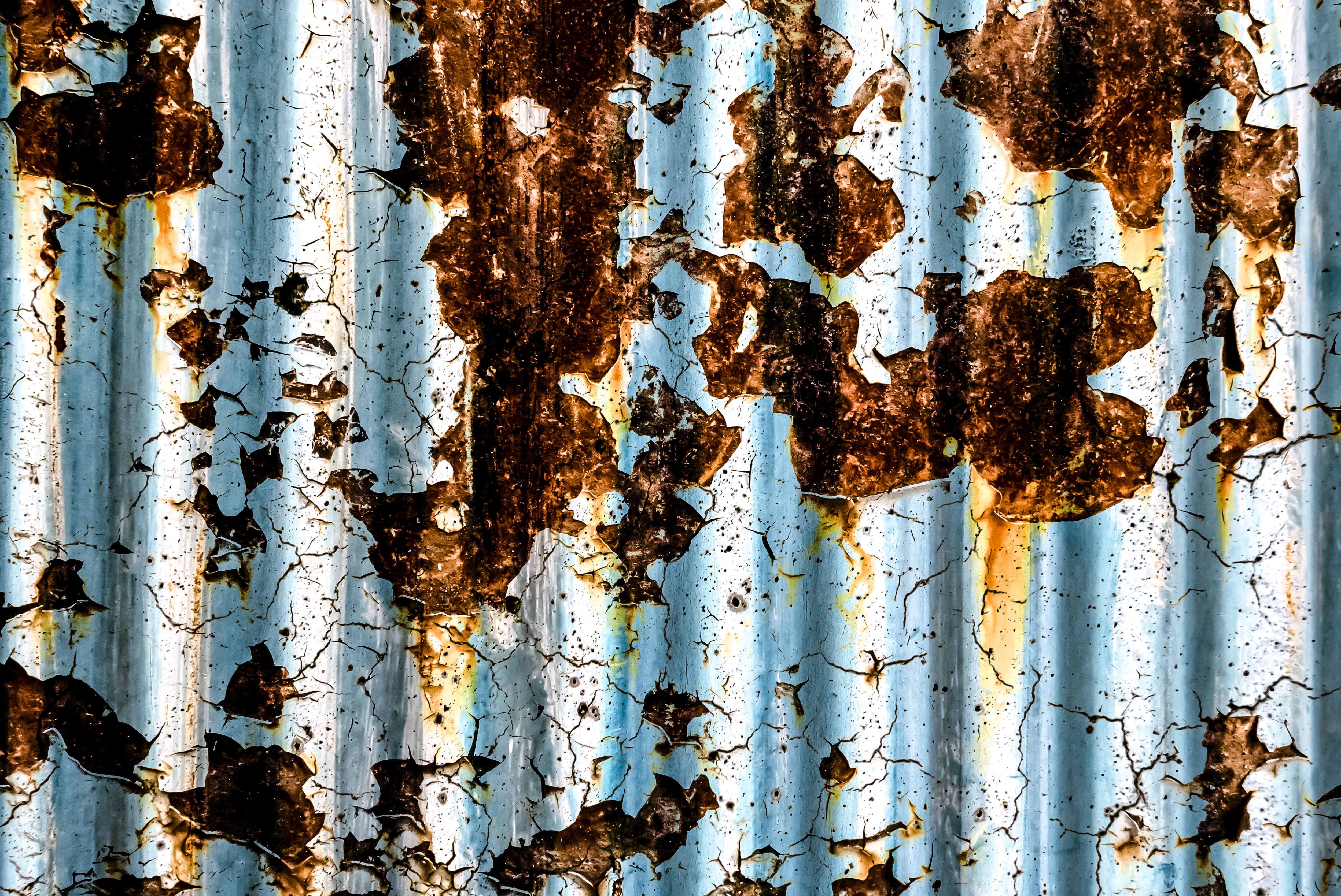 P1050036-Edit.jpg?&download=1