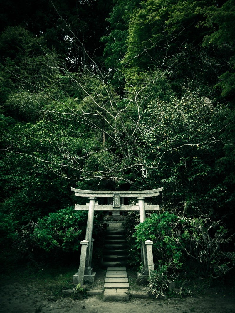 「神社の鳥居」の写真