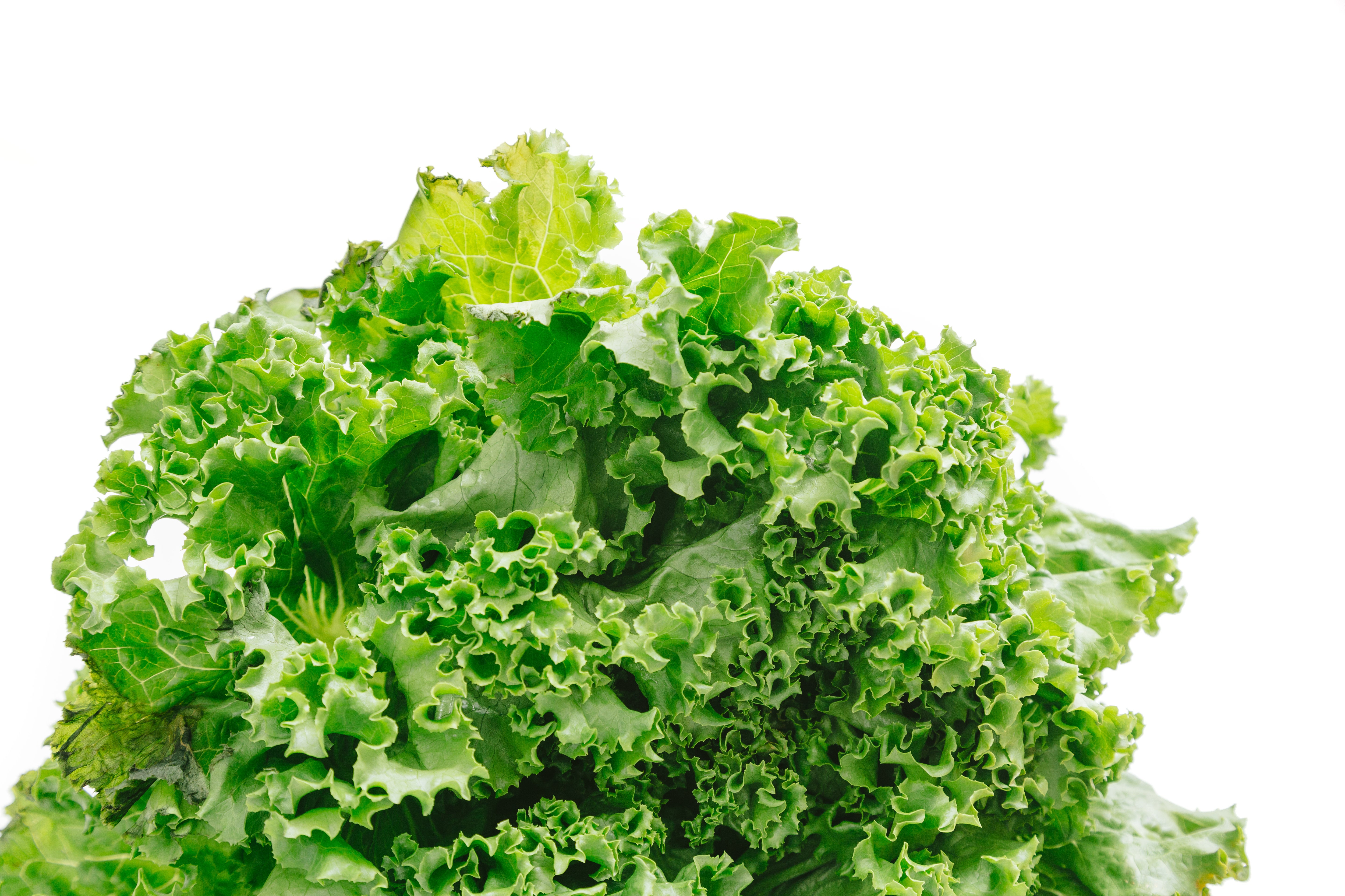 PAK0I9A8033.jpg?&download=1