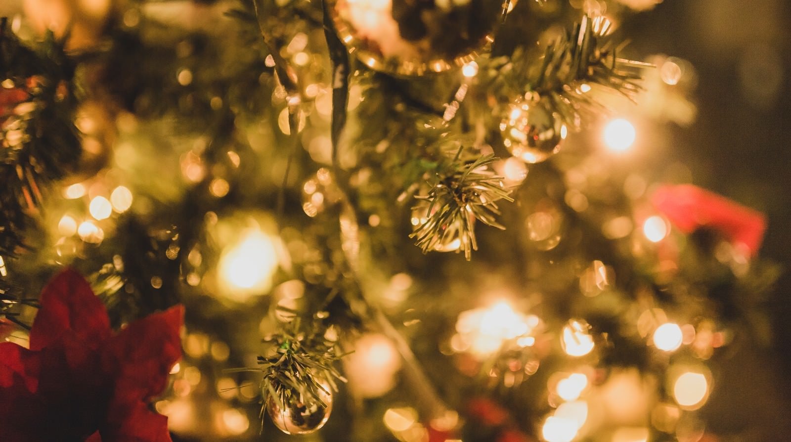 「クリスマスツリーと装飾」の写真